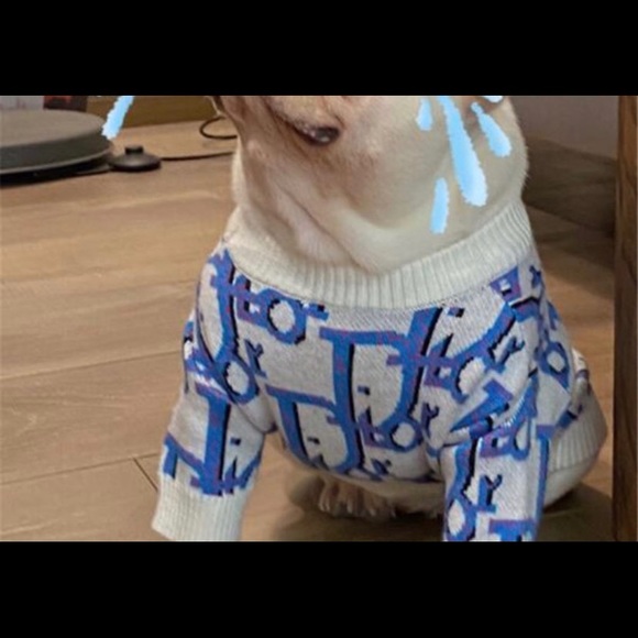 Dog sweater - Picture 2 of 2